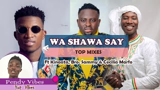 Wa Shawa Say Top Mixes  Ft Kofi Kinaata Brother Sammy And Cecilia Marfo [upl. by Dielu]