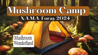 Mushroom Camp NAMA Foray 2024 in Randle Washington [upl. by Lillian986]