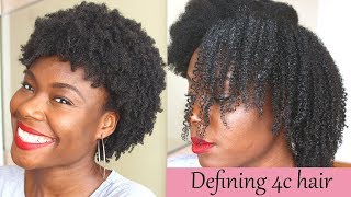 Defined curls on 4c natural hair using the LOC method no gel [upl. by Aicenert]