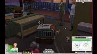 Sims 4  KindHaustier Adoptieren Tutorial [upl. by Halivah]