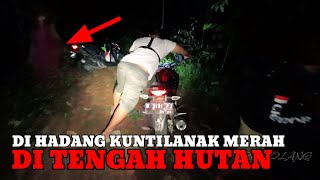 KEJADIAN TIDAK TERDUGA DI HANTUI KUNTILANAK MERAH DI TENGAH HUTAN [upl. by Ahsimit]