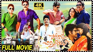 Soggade Chinni Nayana Telugu Family Entertainment Full Length HD Movie  Nagarjuna  TeluguMovies [upl. by Steffane573]