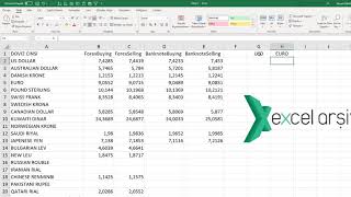 Excel de Formülle TCMB den Anlık Döviz Kurlarını Almak tcmb [upl. by Boaten]