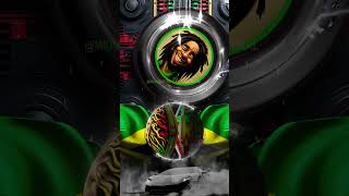 Bob Marley amp The Wailers  Punk Reggae Party alternate Version [upl. by Lyontine273]