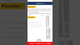 Catalase test  Microbiology  by Imran Yaseen [upl. by Thorvald]