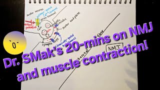 Dr SMaks 20mins on Action Potential in a Neuron and NMJ Part 2 [upl. by Saw]