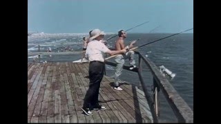 WildwoodsBytheSea Documentary 1960 [upl. by Fairley]