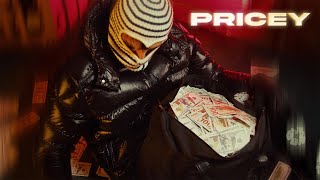 Kam Prada  Pricey Official Lyric Video [upl. by Kuth]