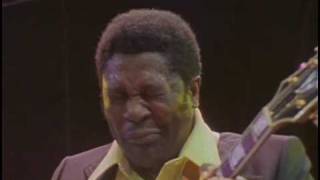 BB King  I Believe To My Soul  Live in Africa 1974 [upl. by Cimbura]