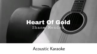 Shawn Mendes  Heart Of Gold Acoustic Karaoke [upl. by Adekahs]