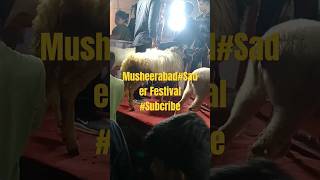 MusheerabadSader Festival 2024 Bullsubscribe [upl. by Carla]