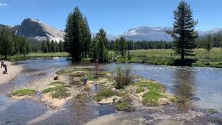 Yosemite National Park  Tuolumne Area Soda Springs Parsons Lodge [upl. by Nae]