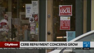 CERB repayment concerns grow [upl. by Eiramaneet822]