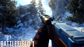 看護兵Selbstlader M1916マークスマン【BATTLEFIELDquot 1BF1quot 実況】 [upl. by Hartzel]