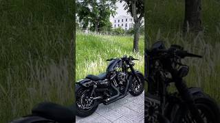 HarleyDavidson FORTYEIGHT custom [upl. by Cassil]