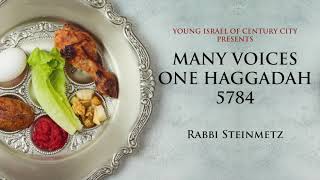 Many VoicesOne Haggadah 5784 quotThe Holy Space Between Questions amp Answersquot by Rabbi Jonah Steinmetz [upl. by Rosmunda]