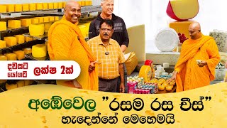 අඹේවෙල රසම රස චීස් හැදෙන්නේ මෙහෙමයි 🧀🧈 Ambewela Farm Dairy Products [upl. by Oleg]