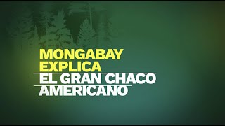 Mongabay explica ¿Qué es el Gran chaco Americano [upl. by Percival]