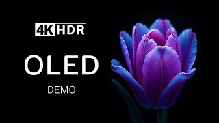 In Black OLED Demo 4K HDR Ultra HD Dolby Vision 60fps  Color Fusion [upl. by Tegan]