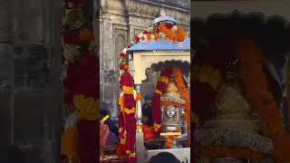 Kedarnath Mahadev Darshan kedarnath mahadev shorts travel [upl. by Bauske]