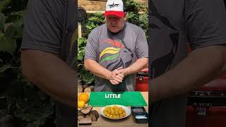 Cooking with Bullace Plums Veg amp Pork Chops Episode 3 Teaser braai bullaceplum kamadojoe bbq [upl. by Dasie]