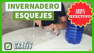 Mini Invernadero de esquejes casero 🌱 Efectivo y Gratis 🔥 2 Métodos Esqueje de estaca y semi leñoso [upl. by Namhcan869]