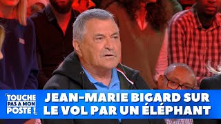 JeanMarie Bigard sur le vol par un éléphant [upl. by Norabal]