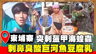 【世界大尋奇】柬埔寨突刺盔甲海蝗蟲 刺鼻臭酸巨河魚豆腐乳 [upl. by Rawna337]