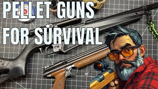 PELLET GUNS FOR SURVIVAL [upl. by Enirehtahc]