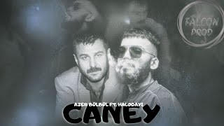 Halodayı feat Azer Bülbül  Caney mix [upl. by Annaxor]