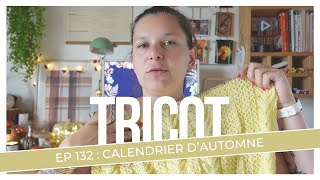 Calendrier de lautomne  Tricot Ep 132 [upl. by Ielak]