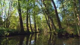 Mit Kanu und Kahn durch den Spreewald [upl. by Kitti]