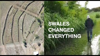 Rainwater Harvesting with Swales A Permaculture Success Story [upl. by Oleg]