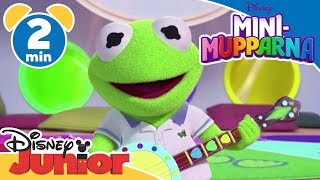 MiniMupparna  Lär känna Kermit 🐸 Disney Junior Sverige [upl. by Annohsak]