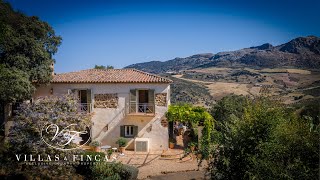 Stunning finca for sale with olive grove Andalusia Southern Spain [upl. by Aihsel]