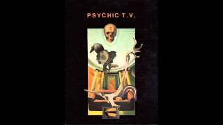 Psychic TV  Roman P [upl. by Matelda812]