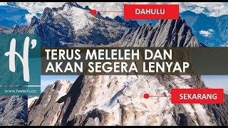 Salju Abadi Puncak Jaya Sedikit Lagi Lenyap [upl. by Kriss]