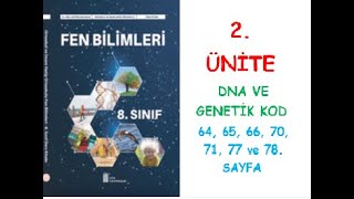 8 SINIF FEN BİLİMLERİ DERS KİTABI ATA YAYINLARI 2ÜNİTE DNAveGenetik Kod 64656670717778SAYFA [upl. by Inail]