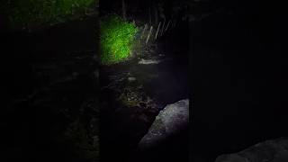 Balade nocturne dans la vallée de la Mue Calvados Thaon [upl. by Ledoux]