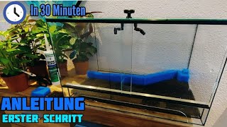 Terrarium für Anfänger  der erste Schritt zum Regenwaldterrarium für den Pfeilgiftfrosch [upl. by Nnoryt]