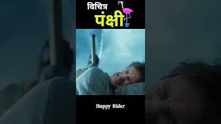 jadui pakchi story jaduiped animation movie factsinhindi amazingfacts movieanalysis facts [upl. by Atinra]