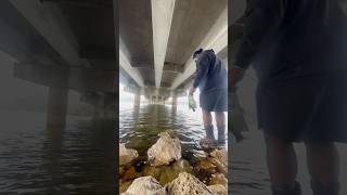 This is what it’s all about fishing viralvideo viralshorts youtubeshorts viralshorts nature [upl. by Retla683]