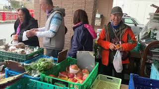 信國社區滇緬村寨遊日本東京「東京伊豆花森情」五日遊記。「修善寺溫泉遊記」螃蟹吃到飽。 [upl. by Smart]