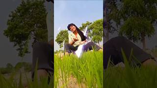 Yah darde Mohabbat Rahane de RamroopSadvideo100k youtubeshorts lovemusic lovesong new [upl. by Callean894]