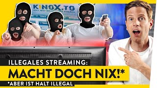 Illegales Streamen Halb so wild  WALULYSE [upl. by Dranrev]