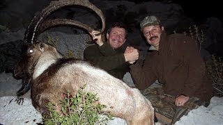 Bezoar Ibex Hunting in Turkey Recep Ecer  Victor [upl. by Ninahs]