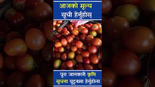 kalimati vegetable and fruits rate today krishisuchana vegetablefarming food agriculturenews [upl. by Eednar]