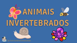 Animais Invertebrados  Ensino Fundamental [upl. by Veronique]