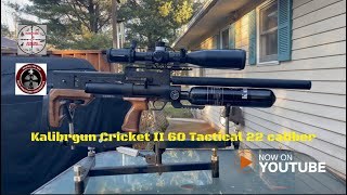 A closer 👀 at the Kalibrgun Cricket II Tactical 60 22 caliber kalibrgun kalibrgunairguns [upl. by Nosrej]