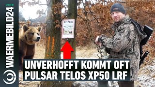 Wir sind nicht allein im Revier Reviergang mit dem Pulsar Telos XP50 LRF WärmebildHandgerät [upl. by Einneg]